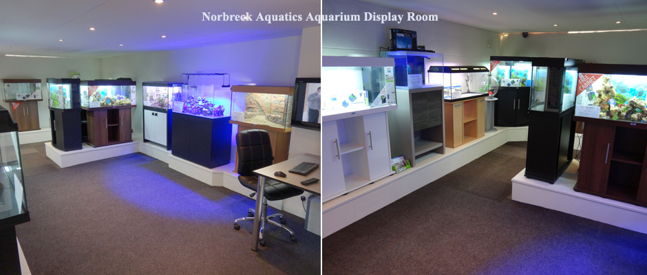 Aquarium Display Room