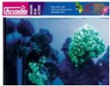 Actinic Marine Blue Tubes T5