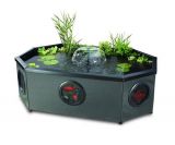 Blasgdon Affinity Half Monn Mocha