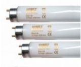 Juwel Aquarium Day Light T8