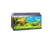 Juwel Korall 60 TROPICAL Aquarium Black
