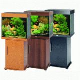 Aquariums and Fish tanks