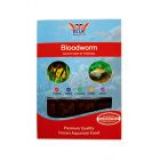 Frozen Aquarium Fish Food