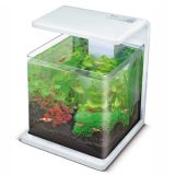 Superfish Wave 15 Aquarium Red White