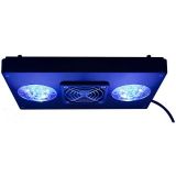 Echotec Aquarium Light Units