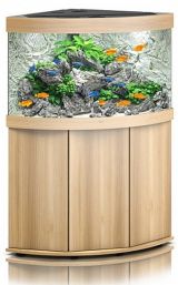 Juwel Trigon 190 Aquarium & Cabinet Beech