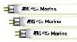 Juwel High Lite Marine Tubes T5