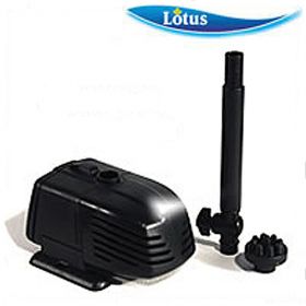 Lotus Otter Legend 800