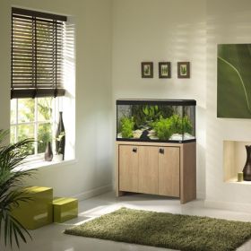 Fluval Roma Set Up in Room