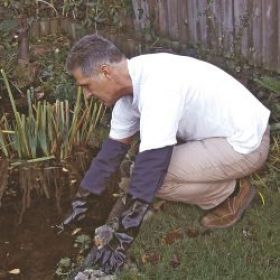 Aqua Pond  Gloves Large