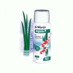 Waterlife Algazin P 1L