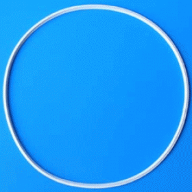 Fishmate Canister Sealing Ring 2500 / 5000