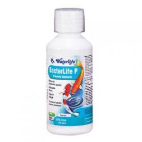 Waterlife Bacterlife 250ml