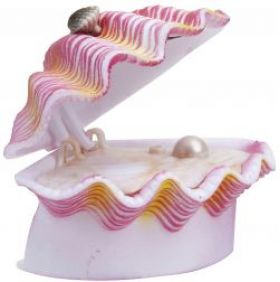 Penn Plax Tropical Clam