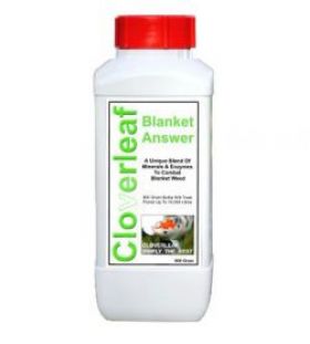 Cloverleaf Blanket Answer 800gms