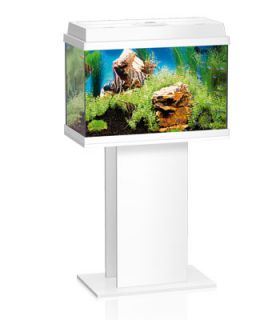 Juwel Rekord 700 Aquariums & Stand White