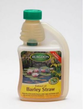 Interpet Extract of Barley Straw 250 mls