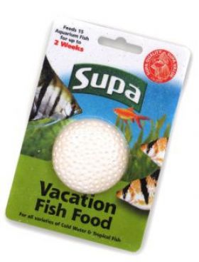 Supa Vacation Blocks